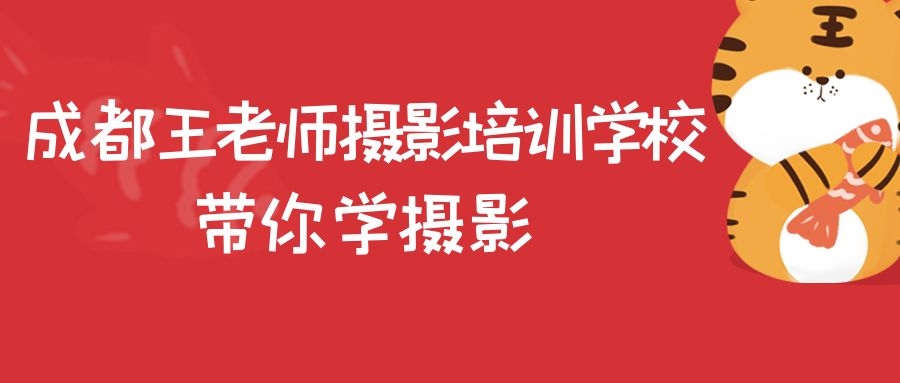  ���ֱػ��5������Ӱרҵ��� 