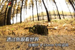 ͸ۿ EF 8-15mm f/4L