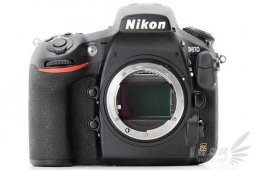 ȫ ῵D81015549Ԫ