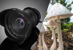 15mm f/4 1:1΢᾵ͷ