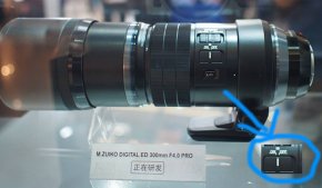 ͼְͣ˹300mm f/4 PRO