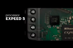 ῵D5Ƭ¶