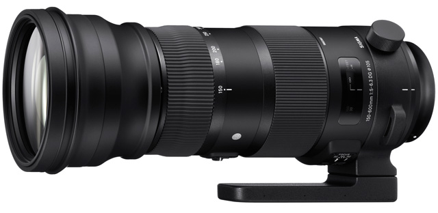 °150-600mm F5-6.3 AF̼ ɶʦӰѵѧУ