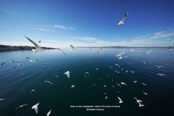 ״10mm f/5.6ͷʵ