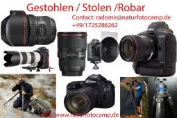 ���ܲ�������ʧ�ԣ�EF 14mm f/2.8L III�ع�