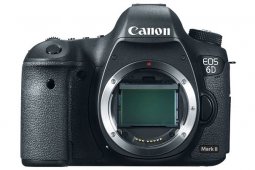 ܻϰ귢6D MARK II