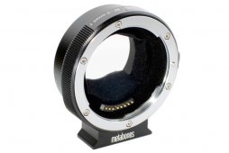 Metabones¼ת᾵ͷӻ̼