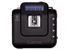 CactusµV6IIշ