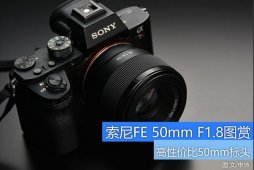 FE 50mm F1.8ͷСɼ۵