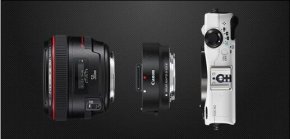 ���ܻ��Ƴ�ȫ�����޷�����Լ���ͷ