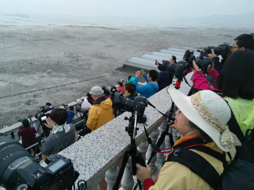 ϼ����Ӱ�μ� �ɶ�����ʦ��Ӱ��ѵѧУ