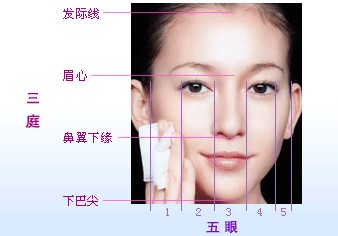 PSҺֲԼ ɶʦӰѵѧУ
