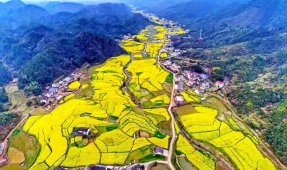  �ɶ�С�ڴ����ͻ�ָ�� �ɶ�����ʦ��Ӱ��ѵѧУΪ������ 