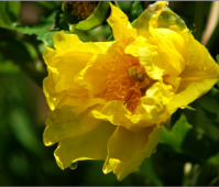  ��Ӱ��ͼ���Ĵ���ɣ�����ʦ��Ӱ��ѵѧУ�������� 