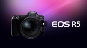 EOS R5EOS R6ֵ𣿳ɶӰѵʦΪרҵ 