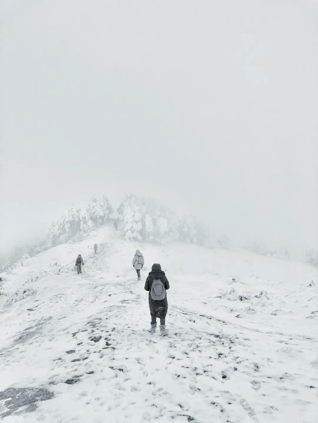 �¶��ţ��ɶ�����ʦ��Ӱ��ѵѧУ